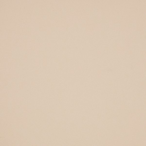 FITS EVERYBODY HIGH-WAISTED THONG | SAND