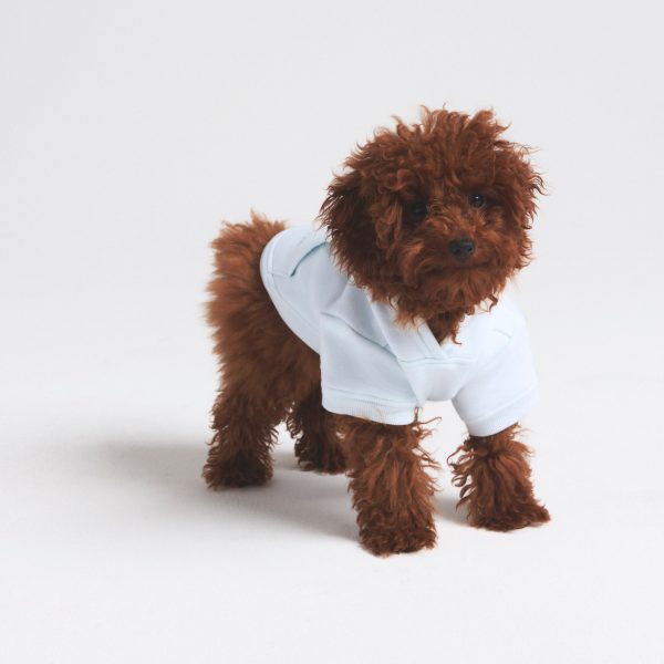COTTON FLEECE PET HOODIE | CLOUD